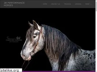 2bperformancehorses.com
