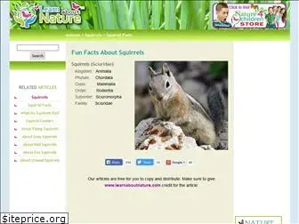 about-squirrels.com