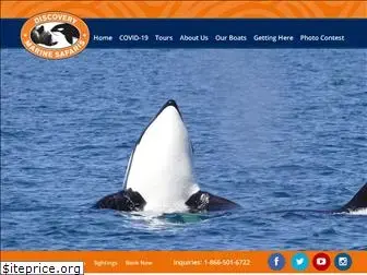 adventurewhalewatching.com