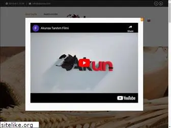 akunsa.com