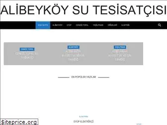 alibeykoysutesisatci.com