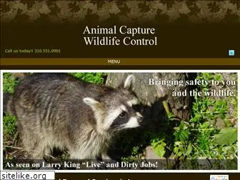 animalcapturewildlifecontrol.com