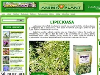 animaplant.ro