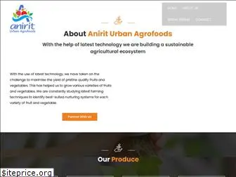 aniriturbanagro.com