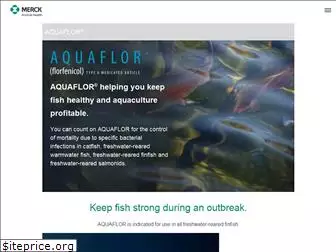 aquaflor-usa.com