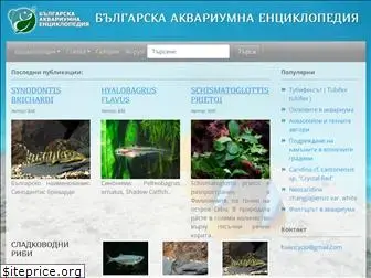 aquariumbg.com