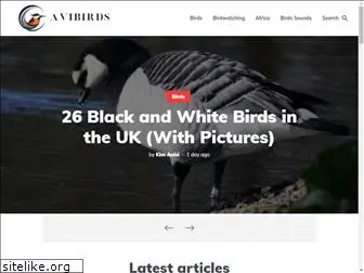 avibirds.com