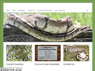 ballpythonaddiction.com