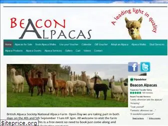 beaconalpacas.co.uk