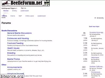 beetleforum.net