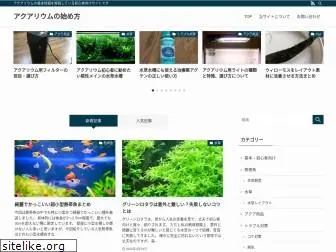 begin-aquarium.com