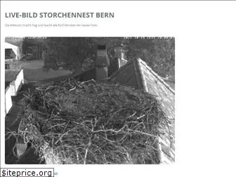 berner-storch.ch