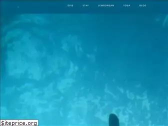 bigfishdiving.com