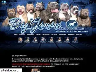 biggeminikennels.com