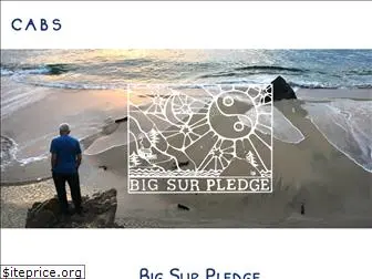 bigsurpledge.org