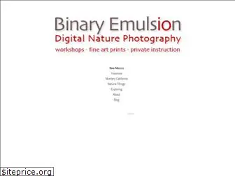 binaryemulsion.com