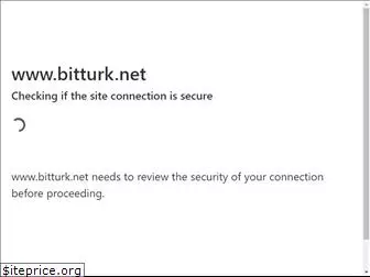 bitturk.net