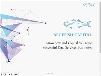bluefishcapital.com