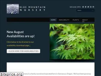 bluemountainnsy.com