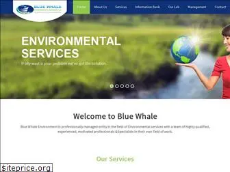 bluewhaleuae.com