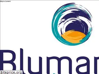 blumangocreative.com