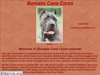 borealiscanecorso.com