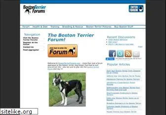 bostonterrierforums.com