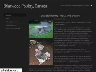 briarwoodpoultry.weebly.com