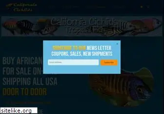 californiacichlids.com