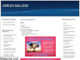 carlesgallego.com