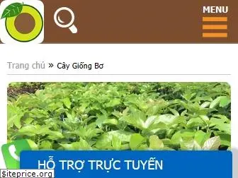 caygiongbo.com