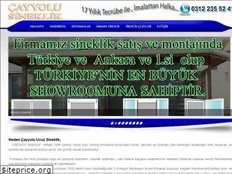 cayyoluucuzsineklik.com