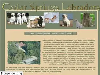 cedarspringslabs.com