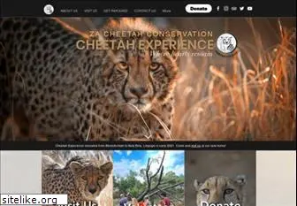 cheetahexperience.com