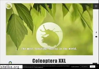 coleoptera-xxl.de