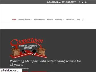 coopertownservices.com