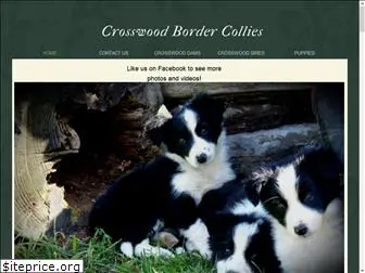 cwbordercollies.com