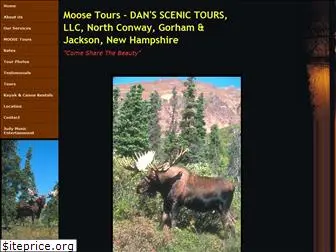 dansscenictours.com