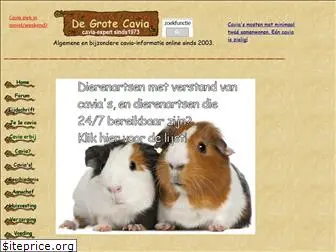 degrotecavia.nl