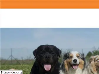 dogtalesdaycare.com