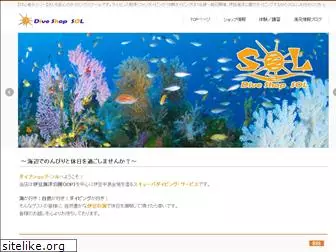 ds-sol.com