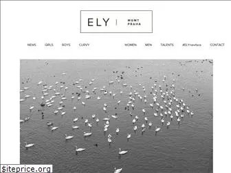 elymanagement.cz