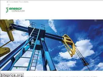 energyconsilium.com