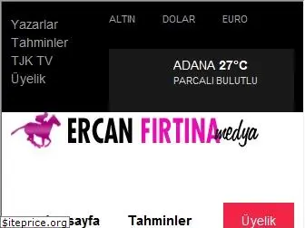 ercanfirtina.com