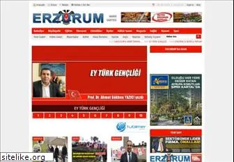 erzurumhabergazetesi.com