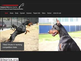 europeandobermanstud.com