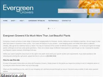 evergreengrowers.com.au