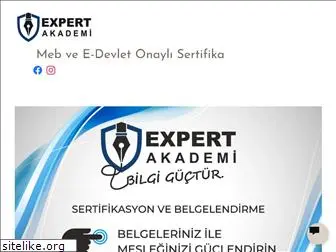 expertakademi.com