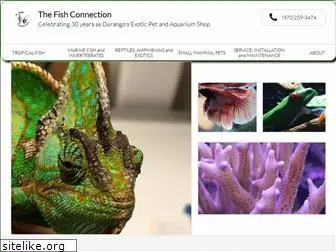 fishconnectiononline.com