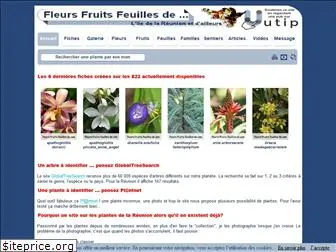 fleurs-fruits-feuilles-de.com